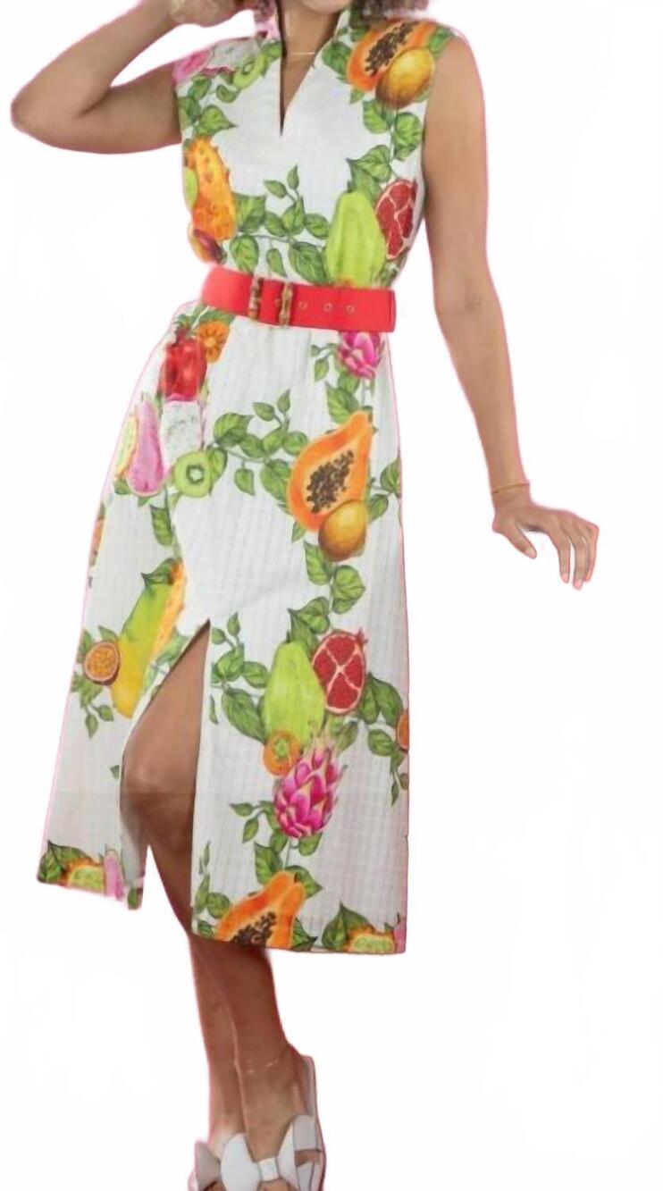 NEW EMILY MCCARTHY roma dress in trellis grove